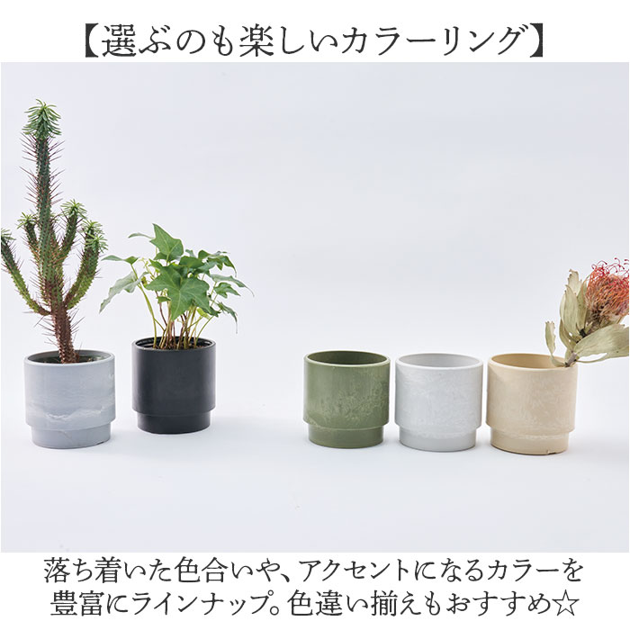植木鉢 プラスチック 丸型 通販 SK ステップ 15.5xH15 鉢 約 5号 鉢カバー プランター プラポット プランターカバー 植木 ポット 鉢植え おしゃれ 軽量 植木鉢 | BACKYARD FAMILY | 14