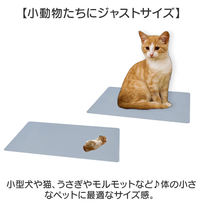 ペット アルミプレート 通販 ペットアルミプレート クールマット ひんやりグッズ 小動物 ひんやり 冷却プレート 冷感 涼しい 暑さ対策 クールダウン ペット | BACKYARD FAMILY | 05