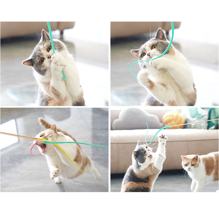 猫じゃらし ネズミの尻尾 通販 ねずみのしっぽ ねずみの尻尾 ネズミのしっぽ 猫用おもちゃ 鼠の尻尾 猫のおもちゃ ネコのおもちゃ おもちゃ 猫じゃらし |  | 12