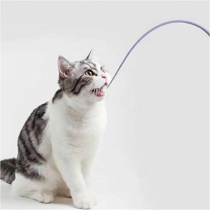 猫じゃらし ネズミの尻尾 通販 ねずみのしっぽ ねずみの尻尾 ネズミのしっぽ 猫用おもちゃ 鼠の尻尾 猫のおもちゃ ネコのおもちゃ おもちゃ 猫じゃらし |  | 04