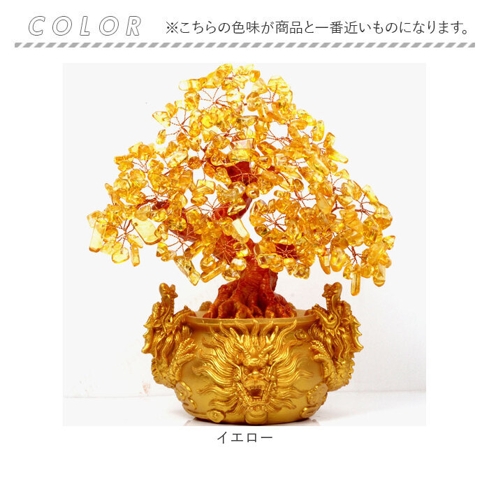 sotree_8.jpg?size=n