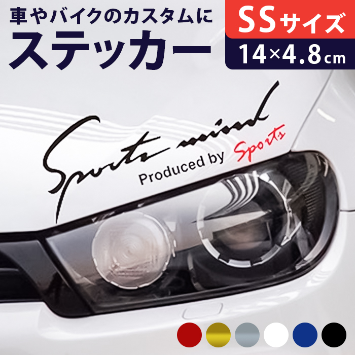  XebJ[  ʔ SSTCY 4.8×14cm Ԃɓ\XebJ[ JbeBOV[g O J[ANZT[ ANZT[ N} TCh