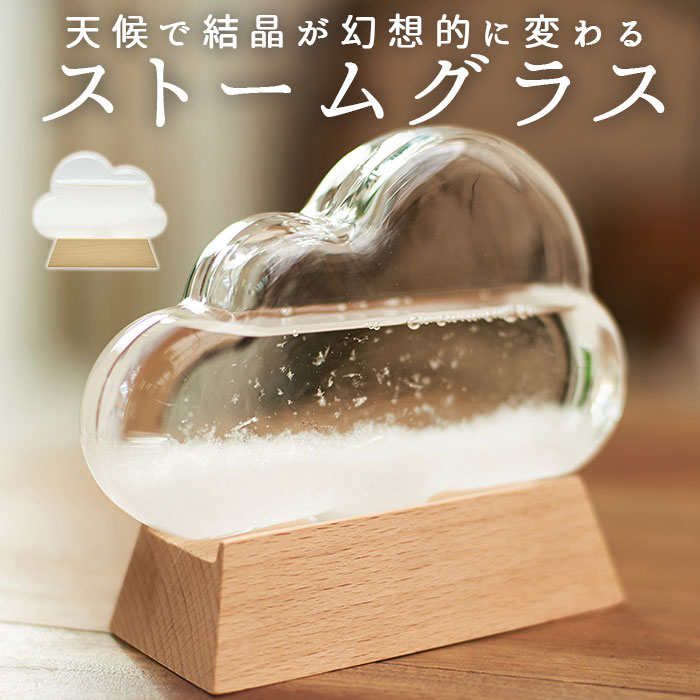 Fun Science（ファン・サイエンス） ストームグラス 通販ストーム