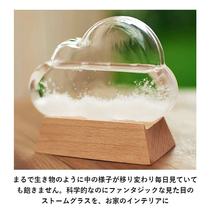 Fun Science（ファン・サイエンス） ストームグラス 通販ストーム