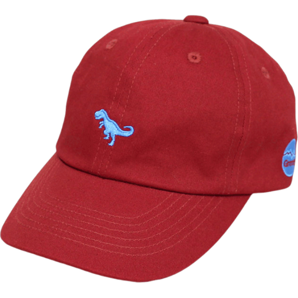 キャップ キッズ 男の子 女の子 通販 ローキャップ 帽子 夏 キッズ帽子キャップ キッズ帽子 子供帽子 小学生 女子 男子 TMCN-058 子供 子ども 綿 キャップ | BACKYARD FAMILY | 05