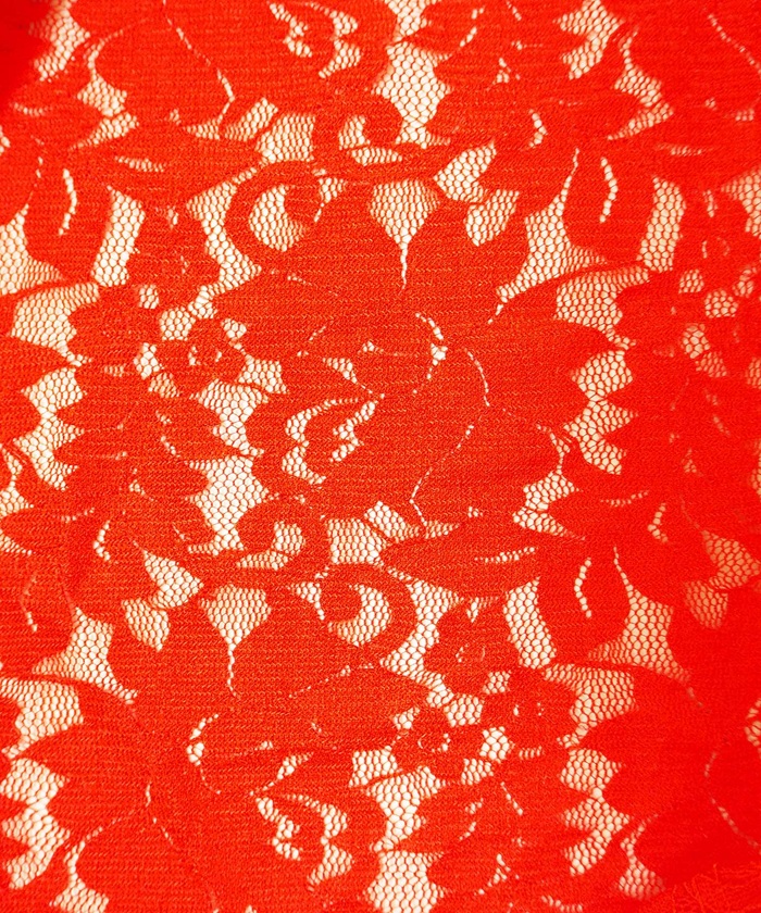 ハイネック レース タンクトップ 通販 ノースリーブ 透け感 トップス ハイネックレースインナー 袖なし 総レース レディース 大人 かわいい きれいめ 上品 |  | 19