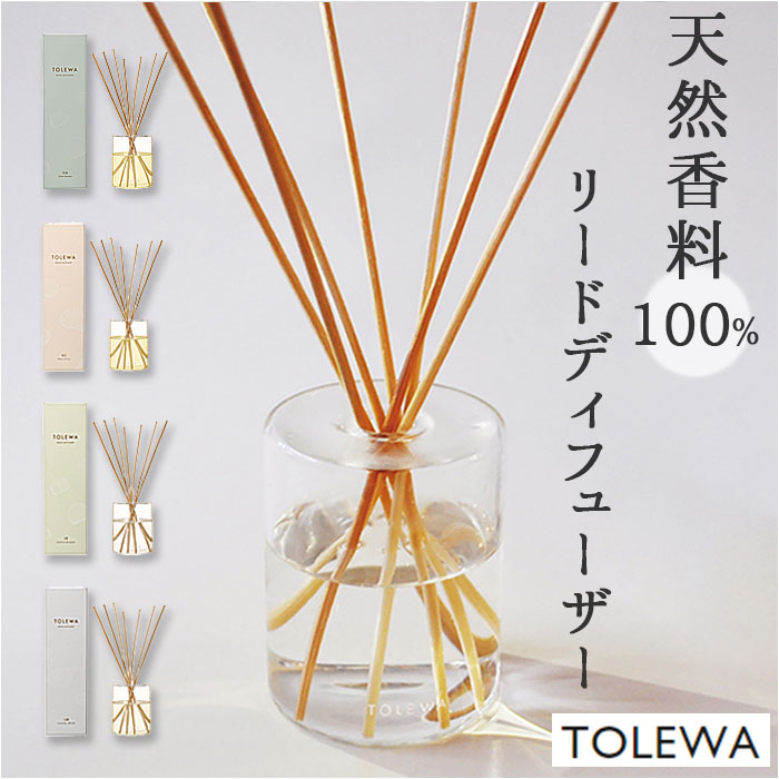 [hfBt[U[ tOX ʔ fBt[U[ [tOX  KX ꕨt KXe VR VR  TOLEWA g