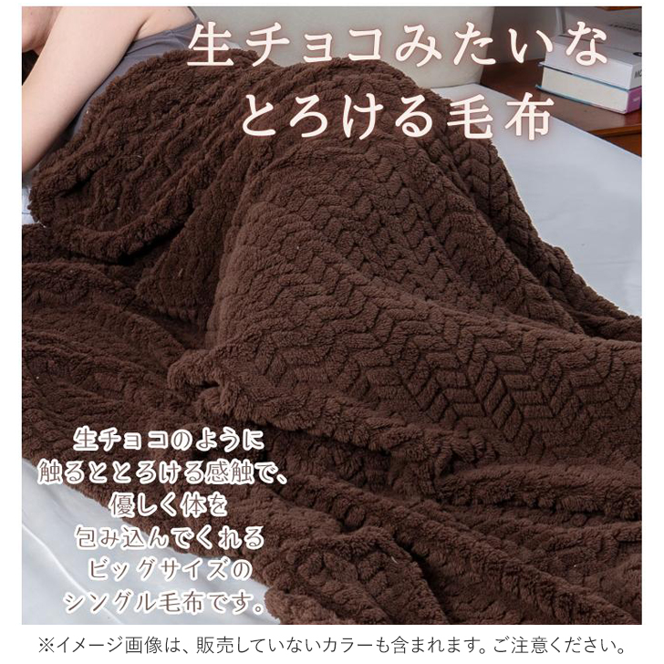 毛布 厚手 シングル もこもこ 通販 膝掛け ブランケット 膝掛 ひざ掛け ひざかけ ハーフケット マイクロファイバー 保温 蓄熱 あたたかい 暖かい あったか 毛布 | Try | 04