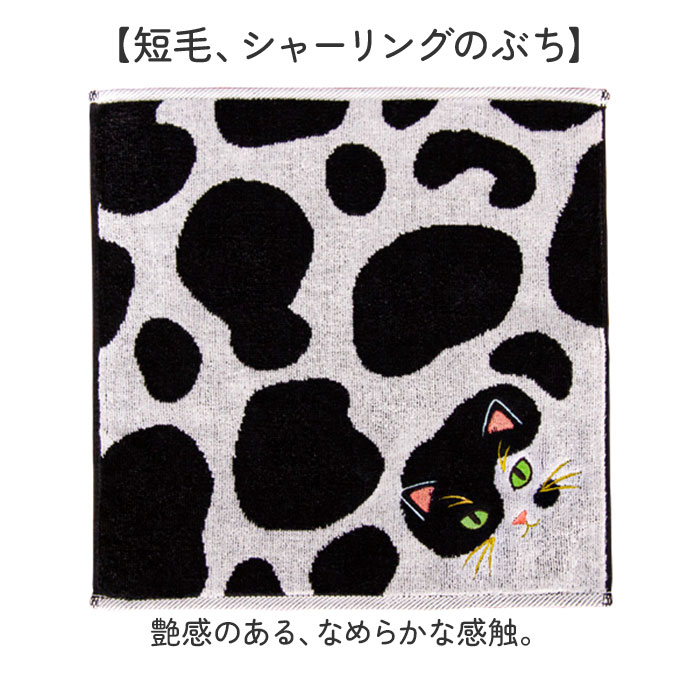 今治タオル ハンカチ 25cm×25cm 通販 日本製 プレーリードッグ UNJ-80 毛並みハンカチ タオルハンカチ ハンドタオル ハンカチタオル 猫 ねこ 刺繍 今治タオル |  | 13