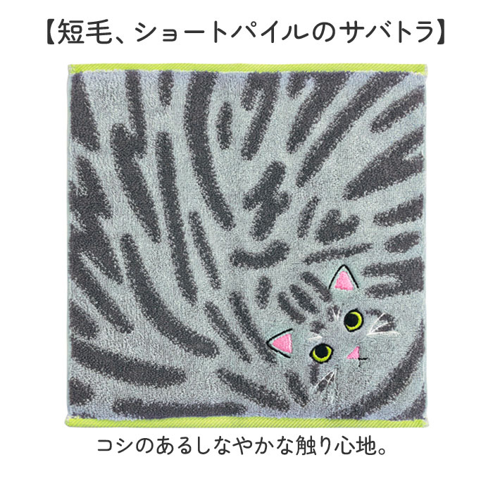 今治タオル ハンカチ 25cm×25cm 通販 日本製 プレーリードッグ UNJ-80 毛並みハンカチ タオルハンカチ ハンドタオル ハンカチタオル 猫 ねこ 刺繍 今治タオル |  | 15