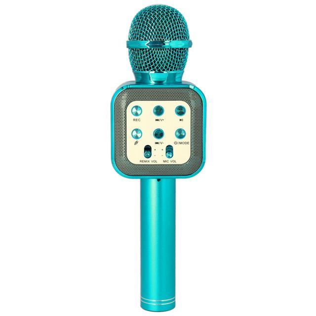 カラオケマイク 家庭用 通販 マイク led付 usb ワイヤレス ワイヤレスマイク ホームパーティー 音楽 イベント 宴会 行楽 花見 お花見 パーティ カラオケマイク | BACKYARD FAMILY | 04