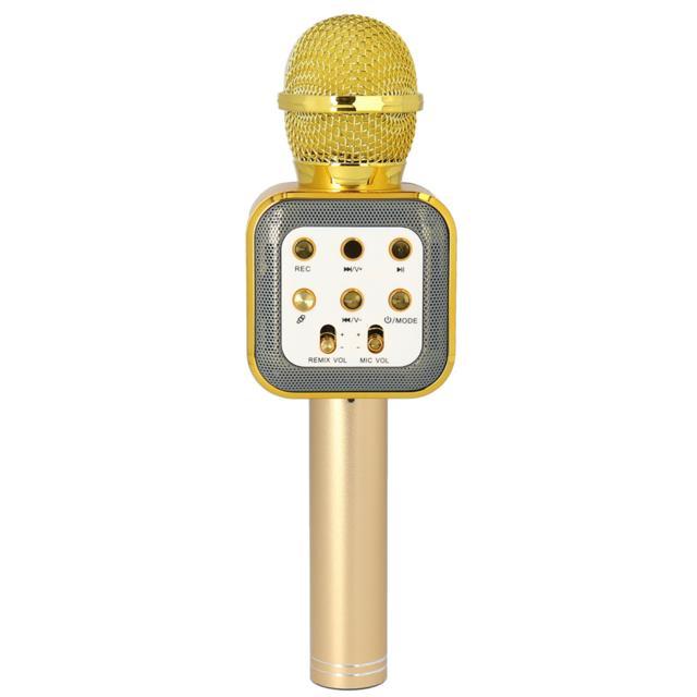 カラオケマイク 家庭用 通販 マイク led付 usb ワイヤレス ワイヤレスマイク ホームパーティー 音楽 イベント 宴会 行楽 花見 お花見 パーティ カラオケマイク | BACKYARD FAMILY | 06