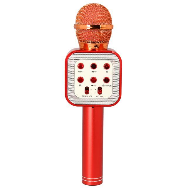 カラオケマイク 家庭用 通販 マイク led付 usb ワイヤレス ワイヤレスマイク ホームパーティー 音楽 イベント 宴会 行楽 花見 お花見 パーティ カラオケマイク | BACKYARD FAMILY | 01