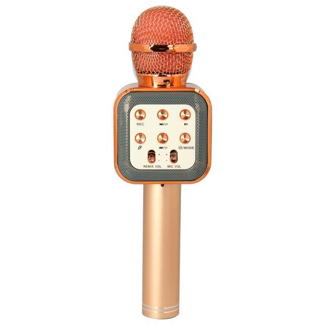 カラオケマイク 家庭用 通販 マイク led付 usb ワイヤレス ワイヤレスマイク ホームパーティー 音楽 イベント 宴会 行楽 花見 お花見 パーティ カラオケマイク | BACKYARD FAMILY | 02