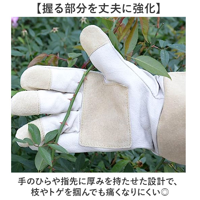 ガーデニンググローブ バラ用 通販 ガーデングローブ バラグローブ バラ用手袋 手袋 トゲ対策 長め ロング 園芸用手袋 薔薇用手袋 ガーデニンググローブ | BACKYARD FAMILY | 06