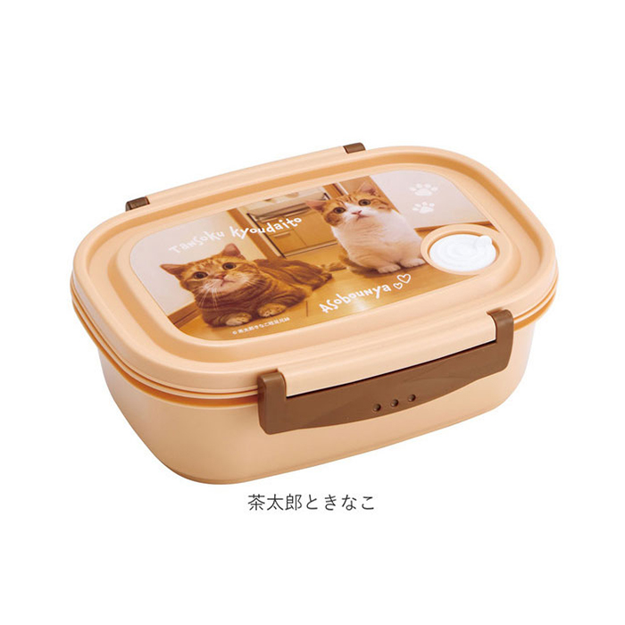 SNOOPY スケーター 通販スケーター 弁当箱 XPM5 ランチボックス