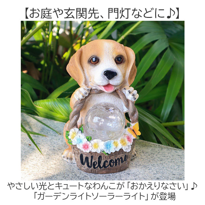 可愛い　犬　壁掛け　立体 楽天市場】【楽天ランキング1位獲得】絵画 壁掛け 壁に飾る絵画