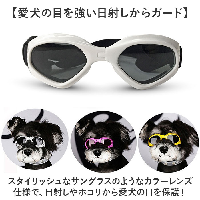 青い犬の像 サングラス付き チワワ ドッグ 犬 いぬ サングラス ヘッドフォン】ポストカード