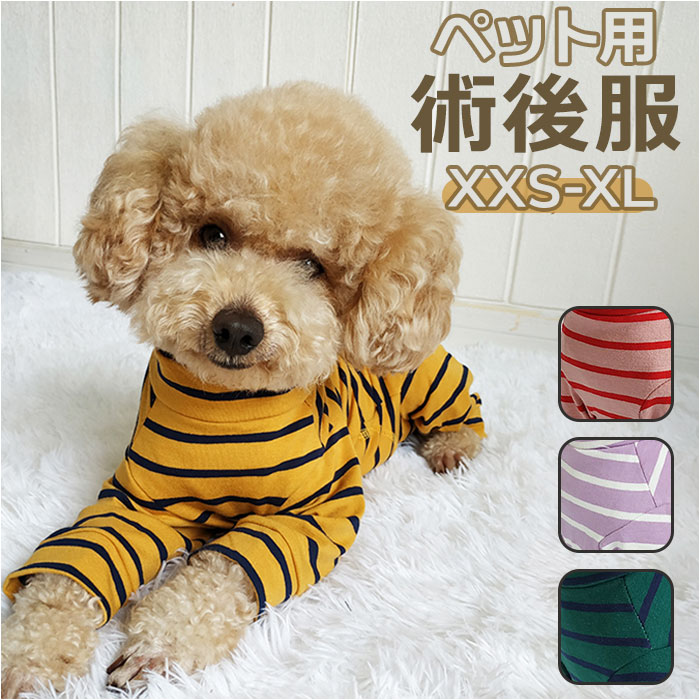 犬のおもちゃ PLATZ JW アイスクィークボール Sサイズ とてもシンプルなナチュラルラバー１００％のボール : jw43030 :  犬服の専門店PETFiND(ペットファインド) - 通販 - Yahoo!ショッピング
