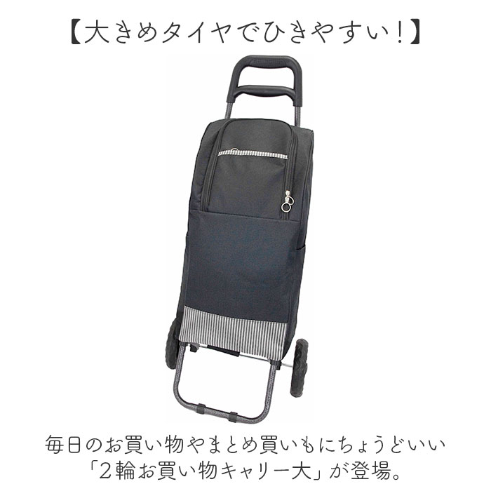 ショッピングカート 2輪 通販 買い物キャリーバッグ お買い物キャリー お買い物カート 保温 保冷 キャリーバッグ 保冷バッグ クーラーバッグ 約24L 二輪 | BACKYARD FAMILY | 05