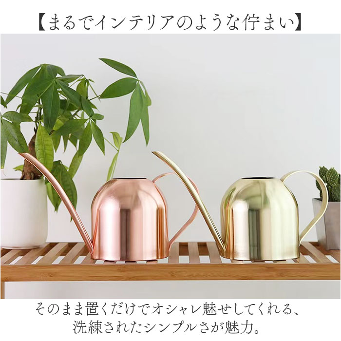 錦松堂 純銅製 CRAFT SERIES 水差し ジョウロ じょうろ 園芸 錦松堂 純銅製 CRAFT SERIES 水差し ジョウロ 園芸 コレクション