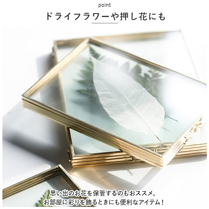 フォトフレーム 写真立て 2面 通販 写真たて ツインフレーム 2L ペア