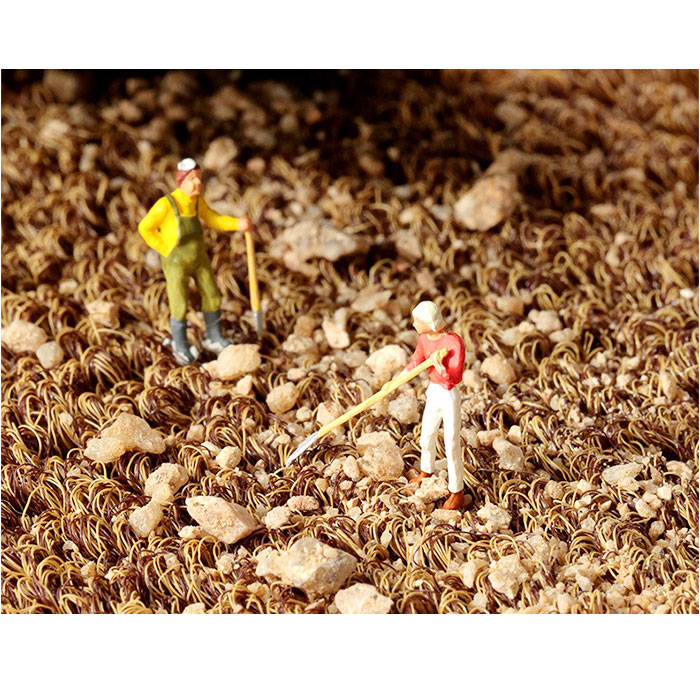 玄関マット 屋外 泥落とし ココヤシ 通販 ドアマット屋外 ドアマット 外用玄関マット 屋外用ドアマット 45cm×75cm ココヤシマット 玄関マット | BACKYARD FAMILY | 10