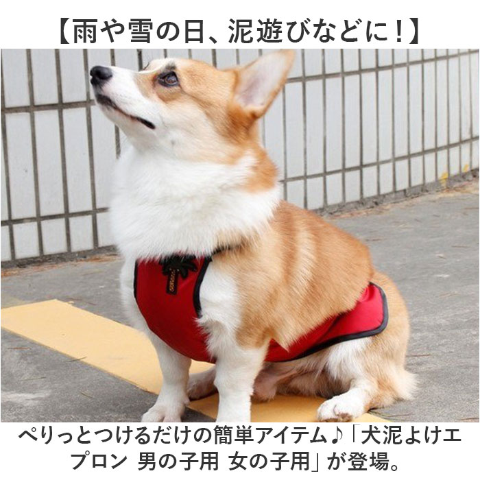 泥よけエプロン 犬 女の子 男の子 通販 泥よけ エプロン おでかけ お出かけ 前掛 前掛け カッパ お散歩 散歩 男の子用 女の子用 ペット服 犬の服 泥よけエプロン |  | 05