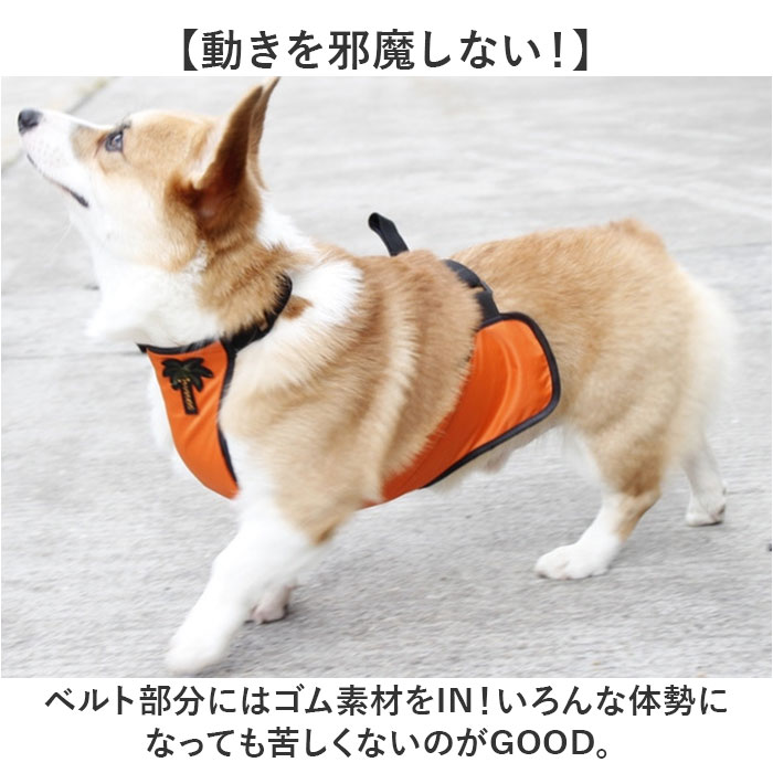 泥よけエプロン 犬 女の子 男の子 通販 泥よけ エプロン おでかけ お出かけ 前掛 前掛け カッパ お散歩 散歩 男の子用 女の子用 ペット服 犬の服 泥よけエプロン |  | 09