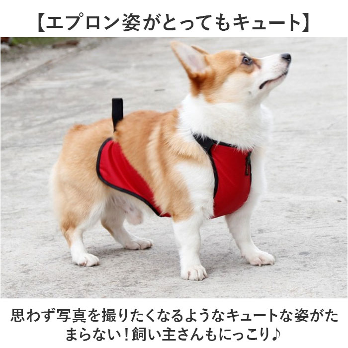 泥よけエプロン 犬 女の子 男の子 通販 泥よけ エプロン おでかけ お出かけ 前掛 前掛け カッパ お散歩 散歩 男の子用 女の子用 ペット服 犬の服 泥よけエプロン |  | 12