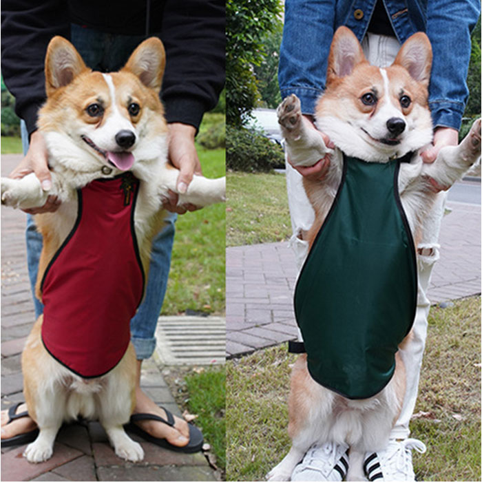 泥よけエプロン 犬 女の子 男の子 通販 泥よけ エプロン おでかけ お出かけ 前掛 前掛け カッパ お散歩 散歩 男の子用 女の子用 ペット服 犬の服 泥よけエプロン |  | 13