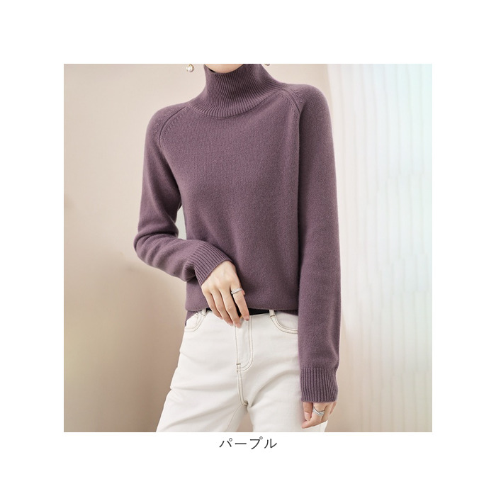 タートルネック レディース 通販 ハイネックセーター ニット セーター ニットセーター ハイネック タートルネックセーター カジュアル トップス メンズ |  | 18