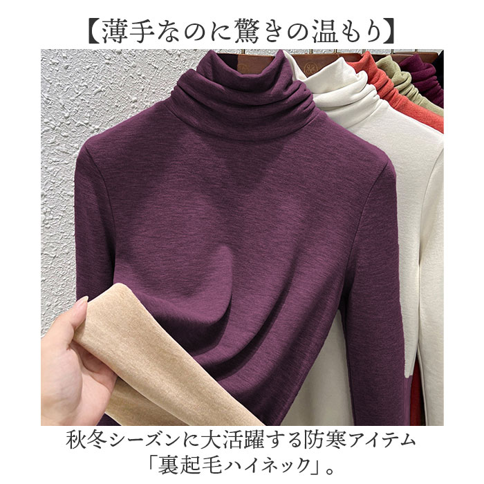 タートルネック インナー レディース 長袖 通販 インナーシャツ アンダーシャツ カットソー ハイネック 大きいサイズ 裏起毛 防寒 あったか きれいめ |  | 01