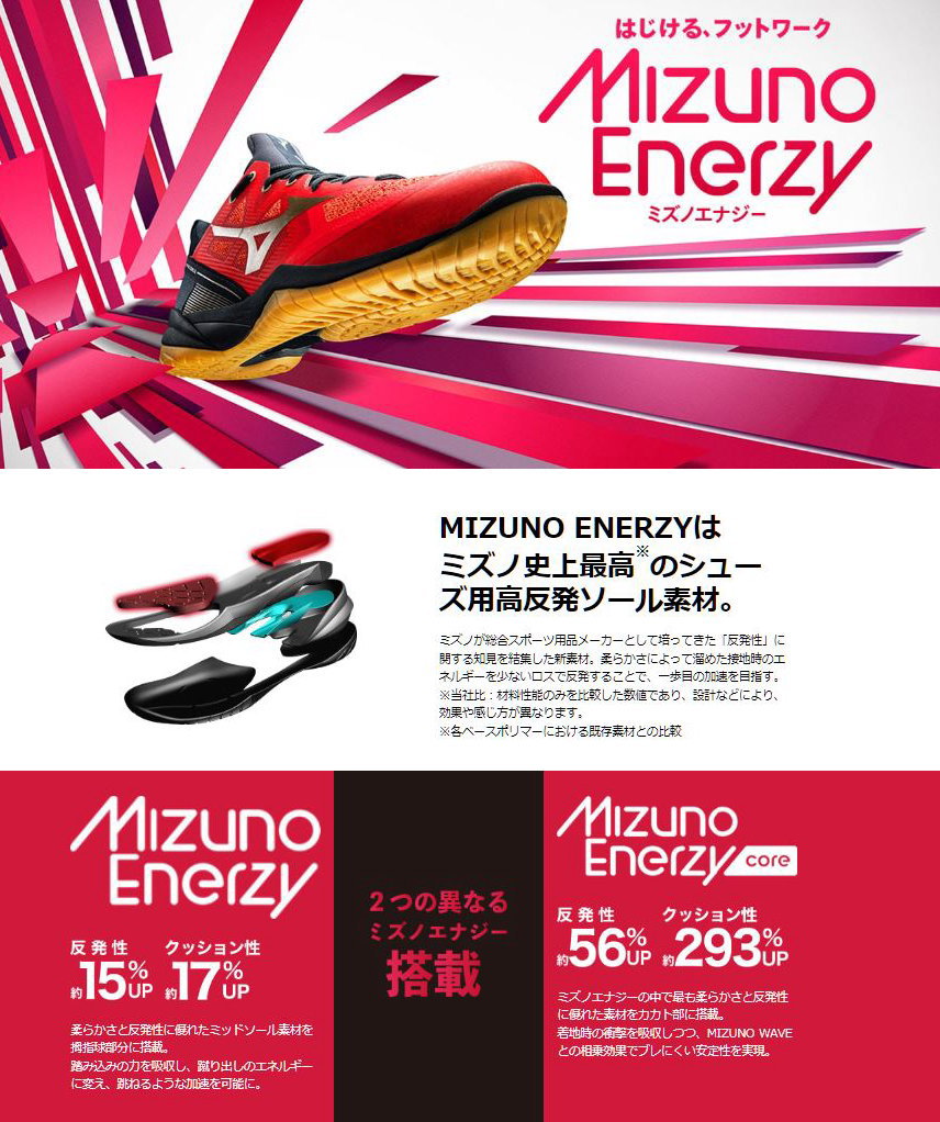 MIZUNO ミズノ ウェーブクロー2フィット WAVE CLAW 2 FIT 2Eローカット