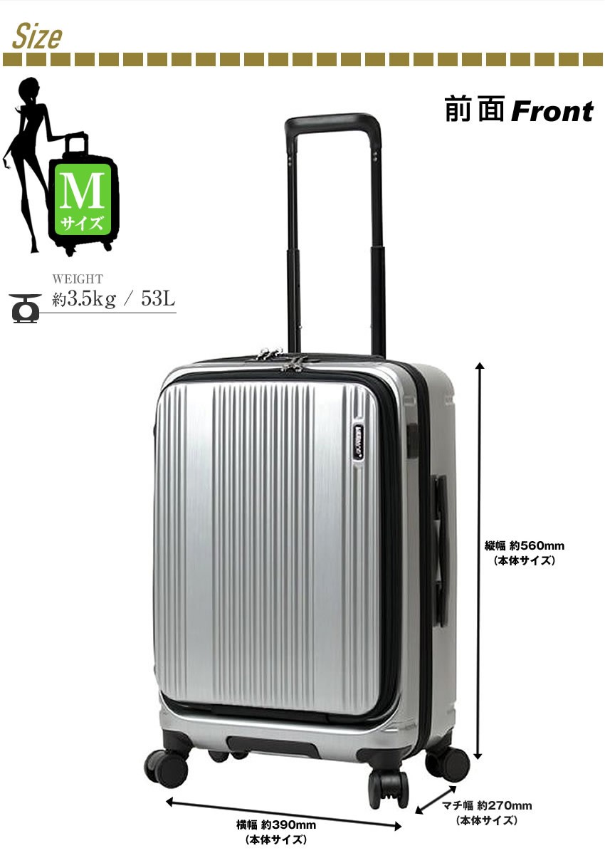 バーマス キャリーケース キャリーバッグ トロリー インターシティ BERMAS スーツケース 53L 軽量 フレームタイプ Mサイズ 機内持込サイズ 60501