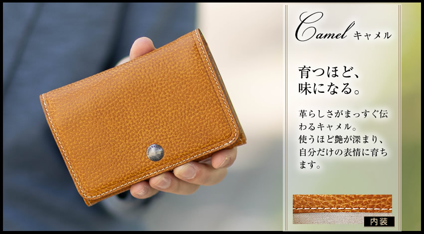 TAKEO KIKUCHI（タケオキクチ） 財布 新作 メンズ セミ長財布 二つ折り
