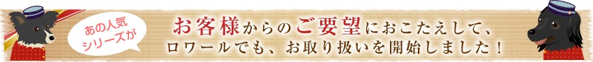 お客様のご要望にお応えして発売を開始