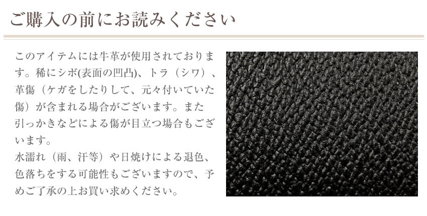 カステルバジャック セカンドバッグ メンズ レディース クラッチバッグ Wファスナー 牛革 CASTELBAJAC ネゼル Nezel 81201