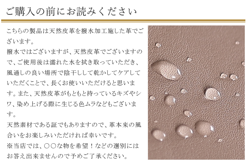 イズイット トートバッグ メンズ レディース 2WAY ドライビングトート ショルダーバッグ 軽量 撥水 シュルビ ISIT 牛革 984501