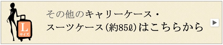 スーツケース　大