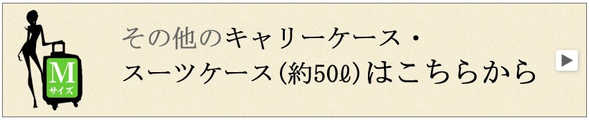 スーツケース　中