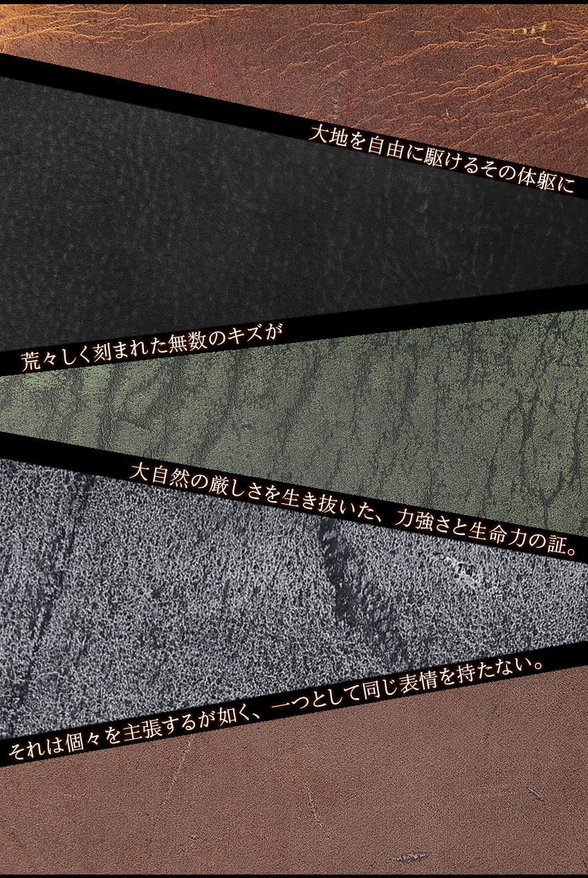 バギーポート 財布 二つ折り財布 メンズ コンパクト財布 本革 折り財布 クードゥーレザー クーズー BAGGY PORT WAXED KUDU ZKM-906