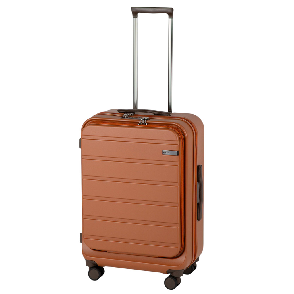 Ace（エース） 【ノベルティ特典】 フレットボード スーツケース