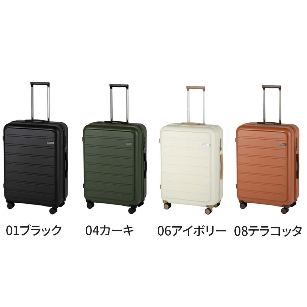 Ace（エース） 【ノベルティ特典】 フレットボード スーツケース