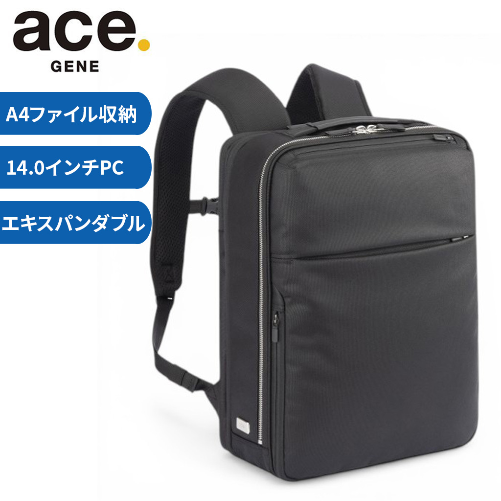 ace. GENE LABEL エースジーン ガジェタブルR 10th LTD リュックサック