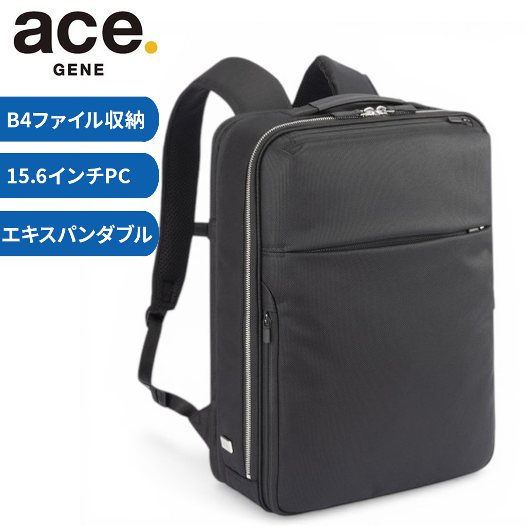 ace. GENE LABEL エースジーン ガジェタブルR 10th LTD リュックサック
