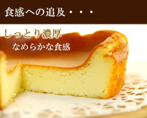 ベイクドチーズケーキ・食感説明