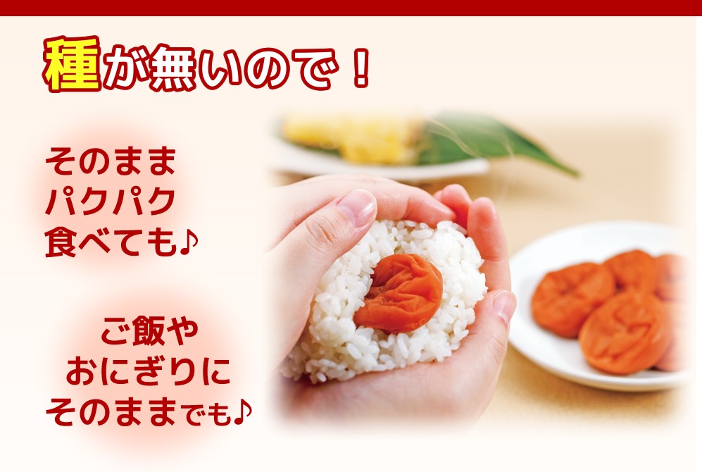 梅干し はちみつ梅干し 種ぬき スイートはちみつ 種ぬいちゃいました 380ｇ 梅翁園 ばいおうえん はちみつ梅 紀州南高梅 塩分5％  豪華ラッピング無料