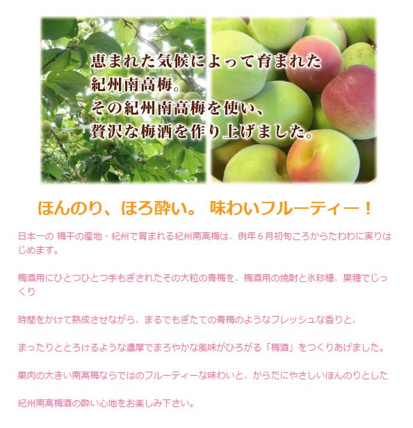 南高梅酒