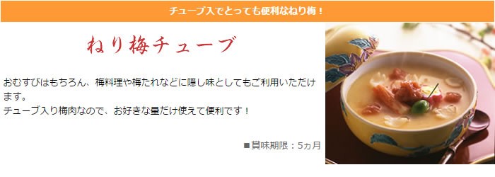 練り梅 国産 ねり梅 チューブ 180ｇ 紀州産 南高梅 梅肉 :411140:紀州梅干の梅翁園. - 通販 - Yahoo!ショッピング